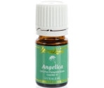 Angelica Essential Oil - 5ml ESSENTIAL OIL