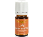 Carrot Seed Essential Oil - 5ml ESSENTIAL OIL