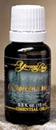 EVERGREEN ESSENCE (SEASONAL) OIL (EVERGREEN ESSENCE (SEASONAL) Essential Oil Blend)