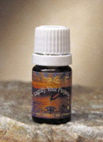 MAGNIFY YOUR PURPOSE OIL (MAGNIFY YOUR PURPOSE Essential Oil Blend)