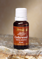 CEDARWOOD ESSENTIAL OIL