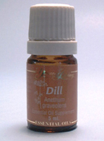 DILL ESSENTIAL OIL