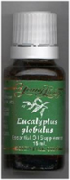 EUCALYPTUS GLOBULUS ESSENTIAL OIL