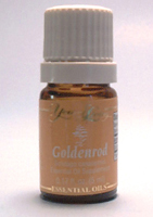 GOLDENROD ESSENTIAL OIL