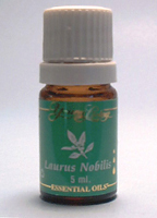 LAURUS NOBILIS ESSENTIAL OIL