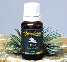 PINE ESSENTIAL OIL
