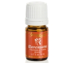 RAVENSARA ESSENTIAL OIL