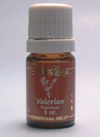 VALERIAN ESSENTIAL OIL