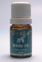 WHITE FIR (ABIES GRANDIS) ESSENTIAL OIL