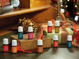 HOLIDAY OIL COLLECTION 2008